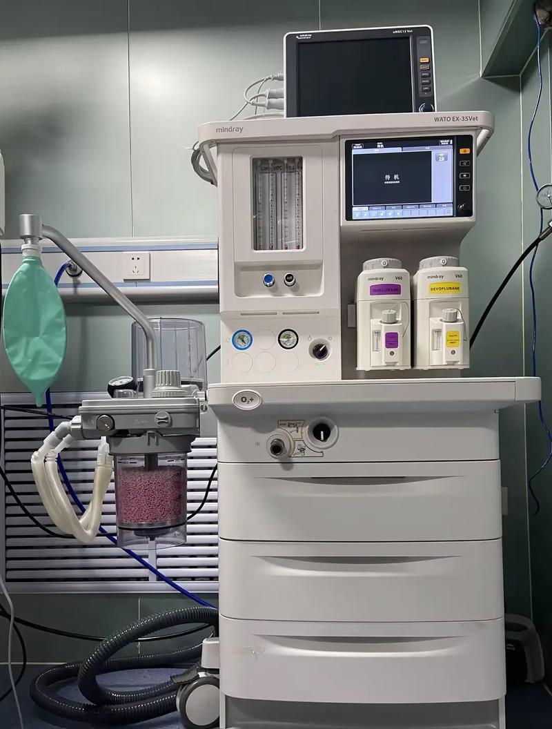 宠物呼吸麻醉机如何使用拜托各位了 3Q 宠物呼吸麻醉机如何使用拜托各位了 3Q